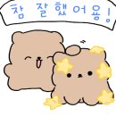 원(WON) 복싱짐 이미지