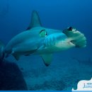 주필거미박물관 이미지