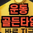 슈나이더 짐 이미지