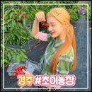 초이농장 이미지