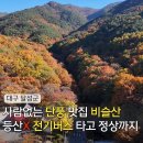 비슬산휴양림주차장 | 등산 필요 없는 대구 달성군 비슬산자연휴양림 단풍 실시간