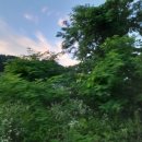 선현농장 이미지