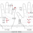 정상별 수지침 뜸 혈자리 이미지