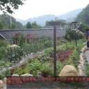 사인암민박 이미지