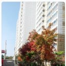 송산홈마트 이미지