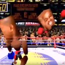 곰스포츠 이미지