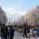 궁거랑 축제 이미지