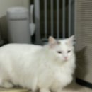 바다네농장 네이버블로그