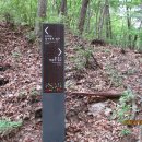 경기둘레길 양평31코스 이미지