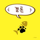 릴공식서비스센터