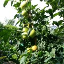 소소한 하루 민박 이미지