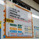 여주곤충박물관 | 여주 곤충박물관 후기 아이와 함께 가기 좋은 실내 여행지