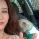 탄금축구장화장실 | [제천] 뽀실이랑 첫 여행 '월악산 유스호스텔' 애견 동반 숙소