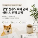 에이플러스방과후보습학원 | 광명 산후도우미 업체 상담 및 계약 후기｜에이플러스·선우맞춤형산후케어 비교 (반려견 키우는 집)