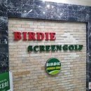 버디스크린연습장 이미지