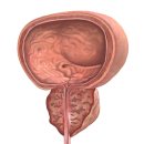 시원비뇨의학과의원 이미지