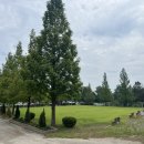 웃다리1945 이미지