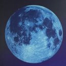 꽃.moon