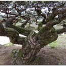 순흥향교 이미지