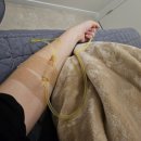 서울카.농기계센타 | 일본 소도시 요나고 태교여행(1) - 에어서울, 오릭스렌트카, 온야도 노노 사카이미나토 호텔