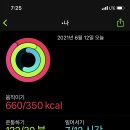 팀터틀랫휘트니스