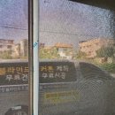 도그뮤티샵 이미지