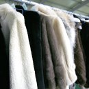 롯데화이트세탁 이미지