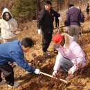 구례군, 제59회 식목일행사 가져 이미지