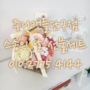 주니캔들 네이버블로그