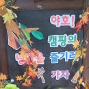 소나무 유치원 이미지