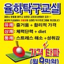 율하탁구교실 - 동구 율하동로10길 3-6 | 율하탁구교실