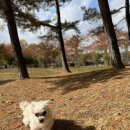 신영식농장 네이버블로그