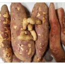 국현어린이집 이미지