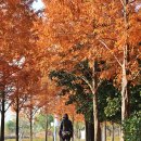 가림이 힐링 이미지