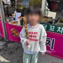 신풍1어린이공원 | 조카들과 서천 동백꽃 축제 &amp; 김제 진봉보리밭축제