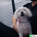 큐트몰