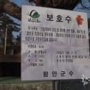 박진영 유품 | 함안의 의병장 박진영 장군유품을 찾아.
