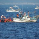 동해-단속-15 이미지