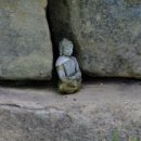 지보사