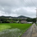 화전1리마을회관 이미지