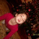 복실강아지 이미지