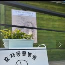 효자 동물병원 이미지