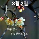 새봉의 월요일 이미지