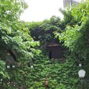 아지오(AGIO) 이미지