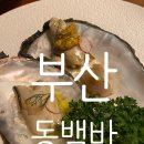 바]전 메뉴가 다 맛있는 해운대 술집추천 분위기 좋은 와인바 부산 최애술집 동백바 니돈니산 솔직후기~!