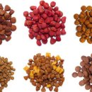 고양이무마취미용 무냥무냥 대구점 이미지