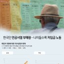 부메랑 이미지