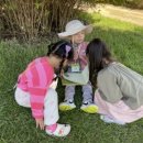 수정유치원 이미지