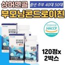초록상어 이미지