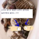 역전꼬막 이미지